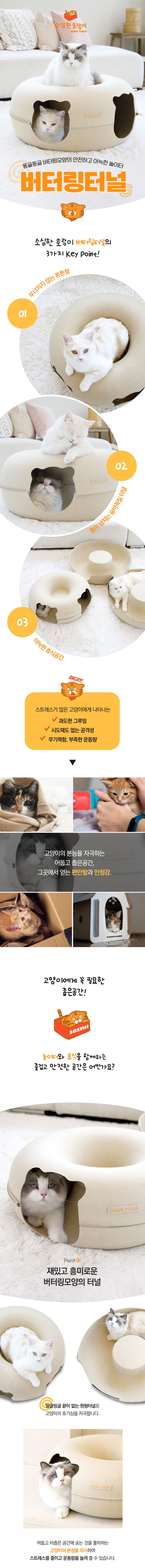소심한호랑이 캣 버터링 터널 S/L 2번째