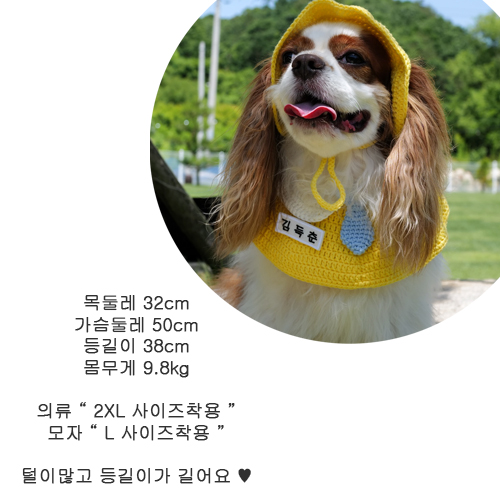 [무료배송] 해피댕댕 플라워화관 S/L 21번째