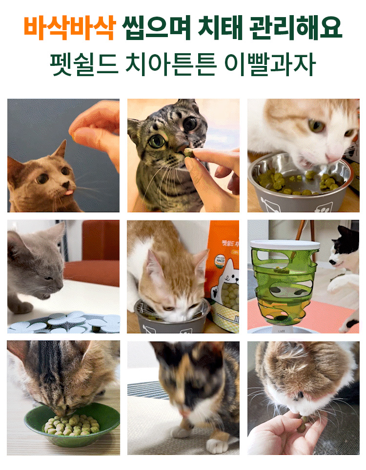 [무료배송] 펫쉴드 캣 치아튼튼 이빨과자 100g 7번째