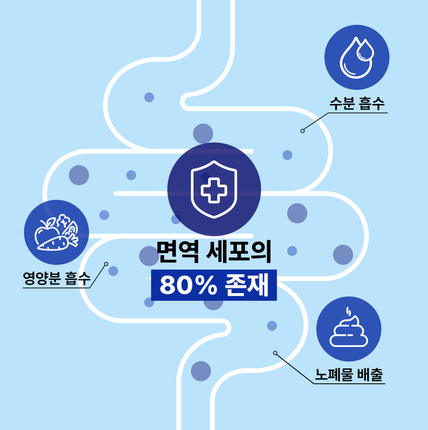 [무료배송] [체험팩] 라이프펫 강아지 영양제 프로바이오틱스 미니 6g 12번째