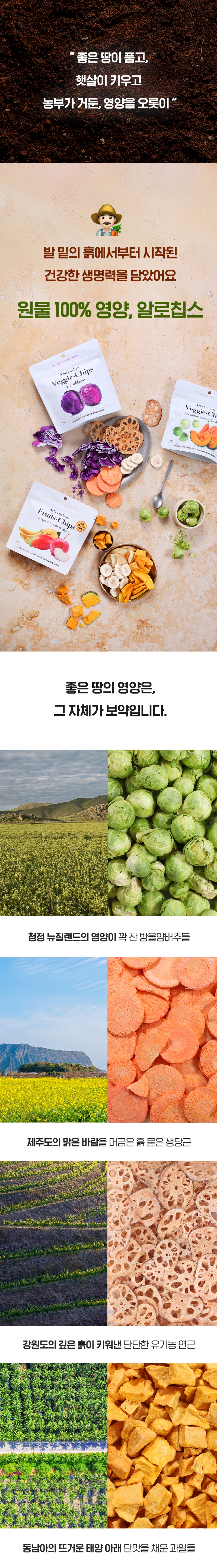 [NEW신상][무료배송] [2개세트] 알로키친 알로칩스 적양배추칩 1번째