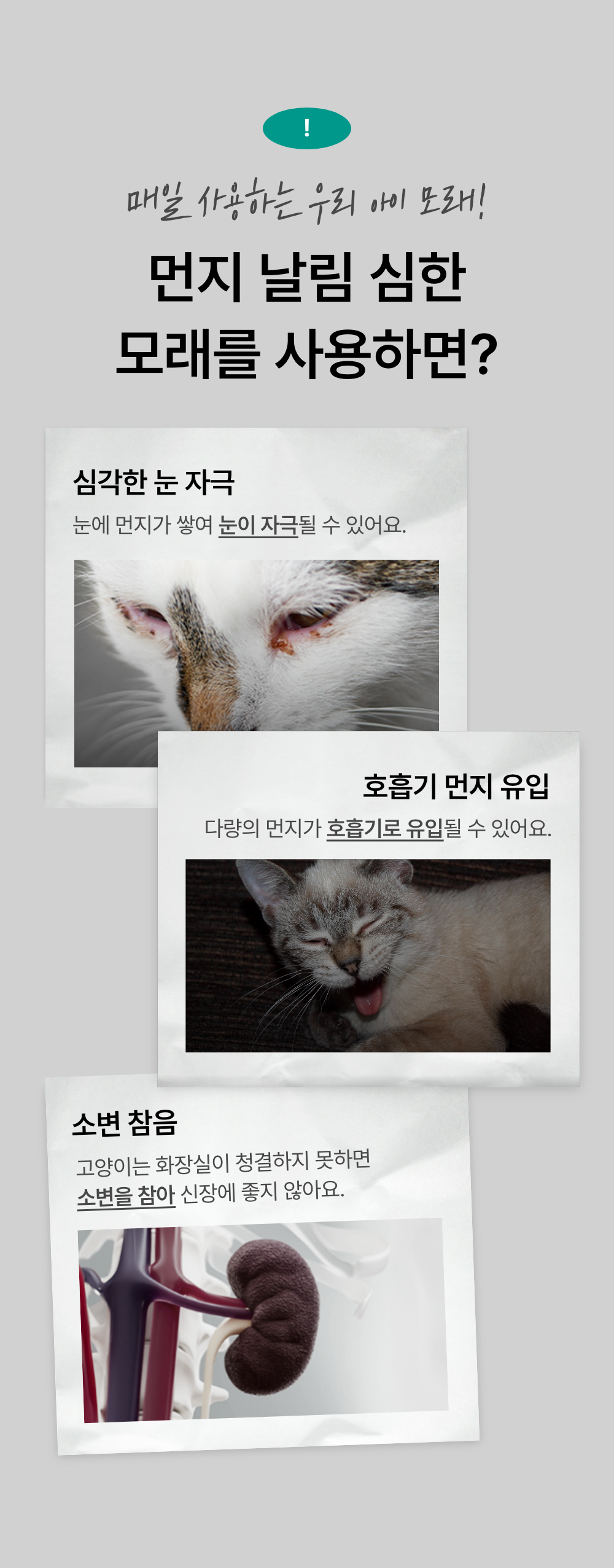 프로젝트21 프리미엄 퓨어 벤토나이트 6kg 3번째