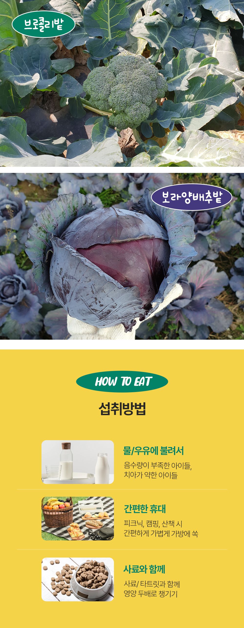 [무료배송][2개] 제주강씨네 당근&양배추 트릿 50g 13번째