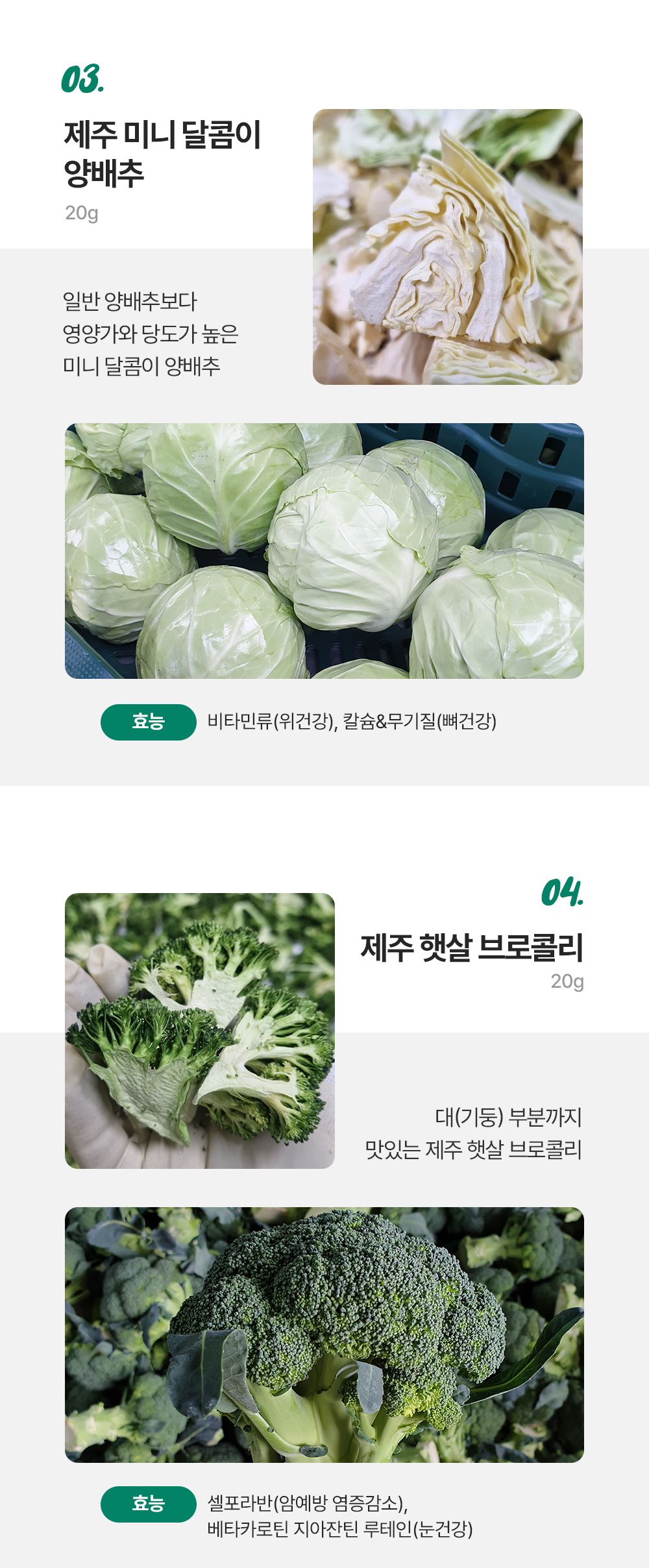 [무료배송][2개] 제주강씨네 당근&양배추 트릿 50g 10번째
