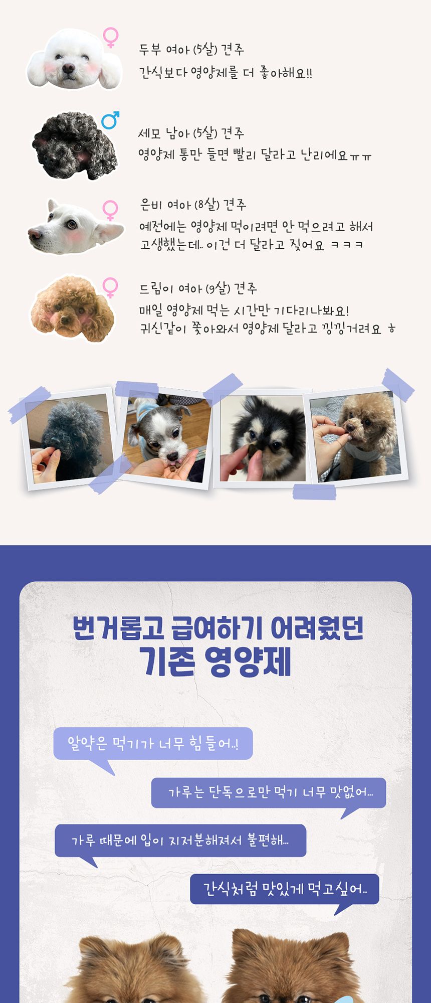 펫시딘 독 유산균 프로바이오틱스 장 건강 영양제 60g 6번째