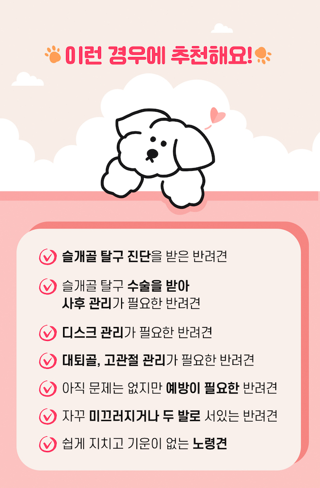 [무료배송] 시리어스펫 독 슬개골 따땃망토 21번째