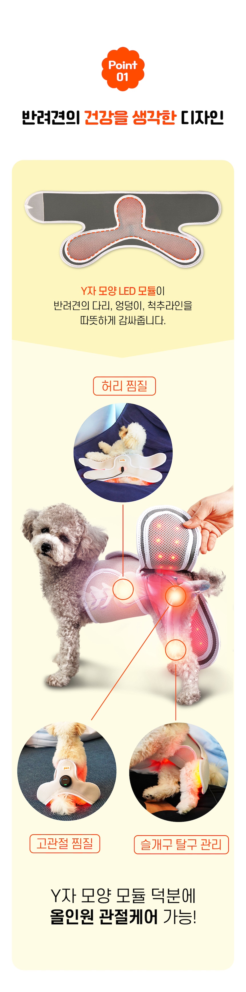 [무료배송] 시리어스펫 독 슬개골 따땃망토 6번째