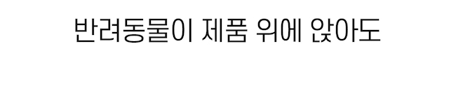 [무료배송] 시리어스펫 독 슬개골 따땃망토 14번째