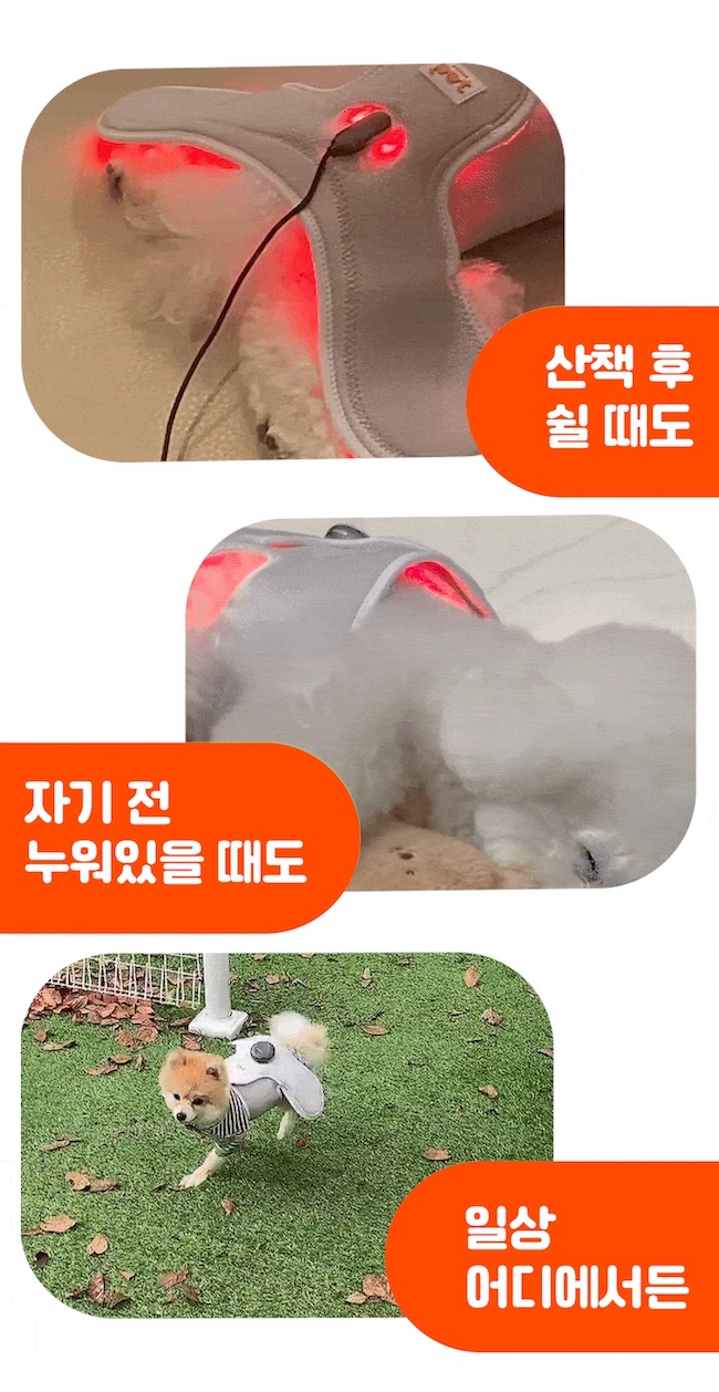 [무료배송] 시리어스펫 독 슬개골 따땃망토 3번째
