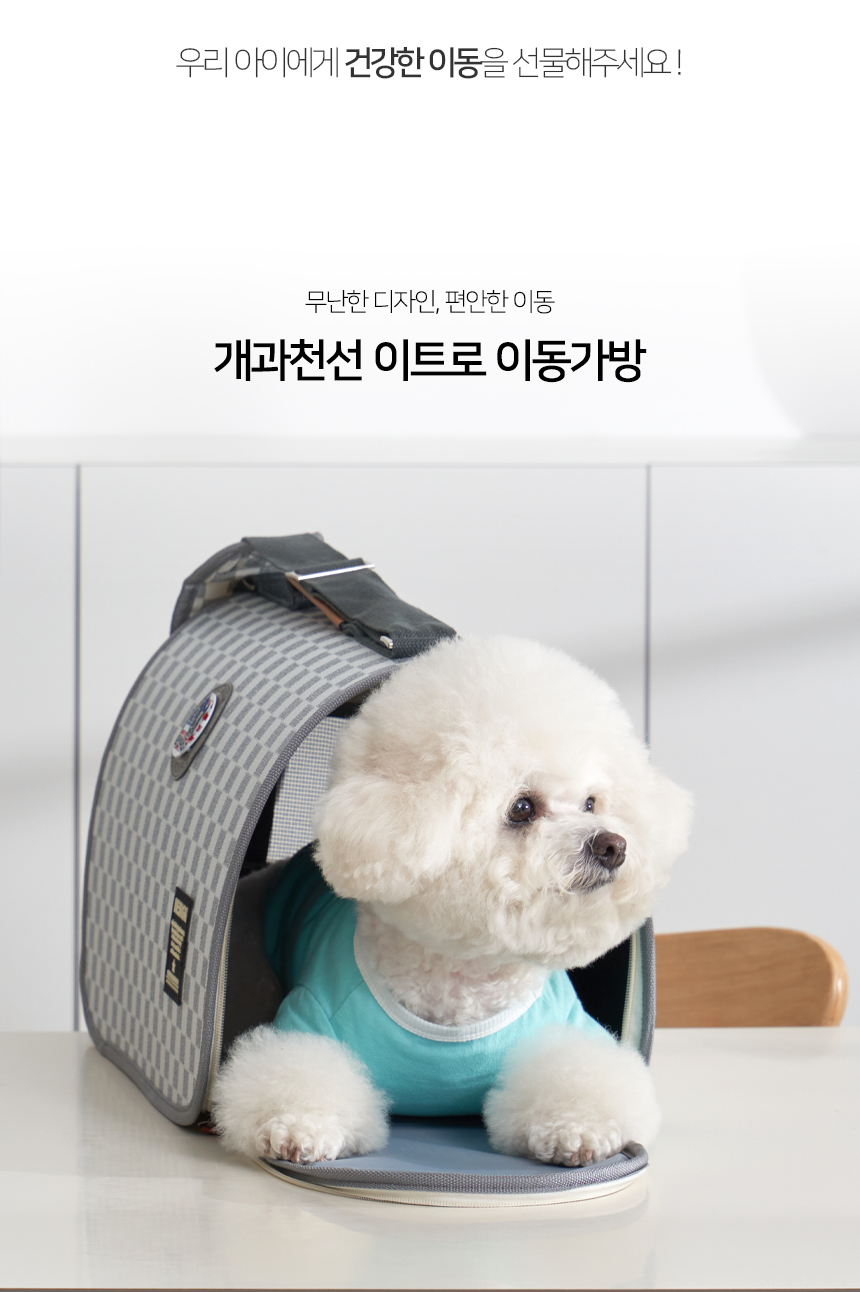 [NEW신상][무료배송] 개과천선 이트로 이동가방 3번째