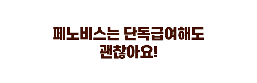 페노비스 독 관절 영양스틱 10g*30p 19번째