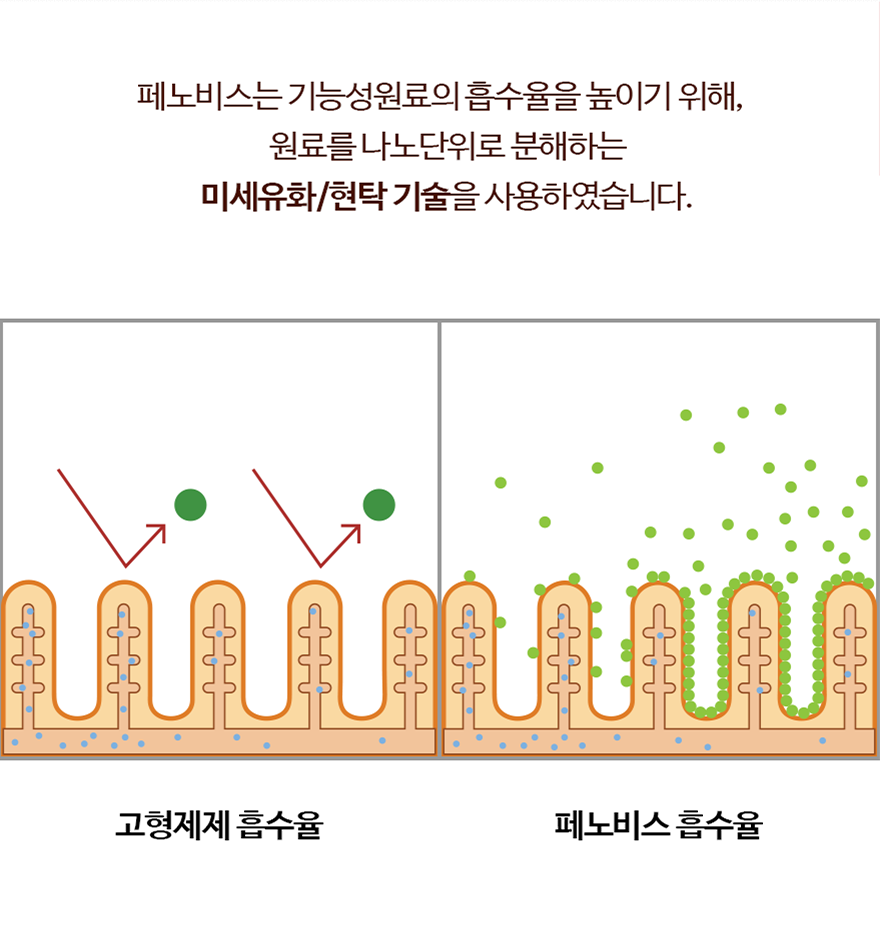 페노비스 독 관절 영양스틱 10g*30p 8번째