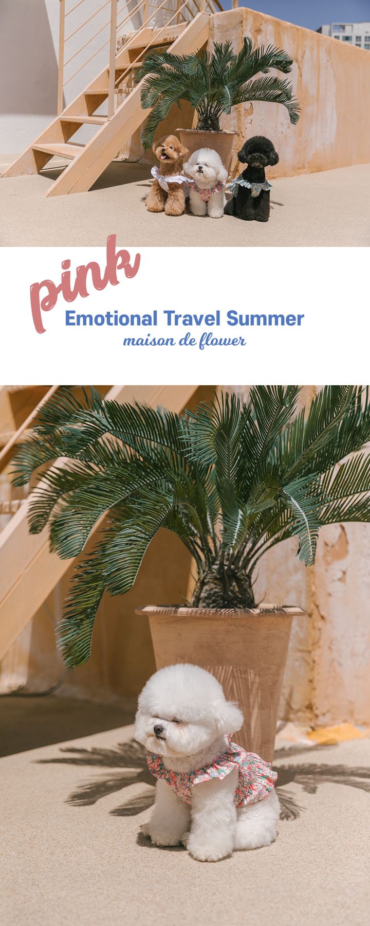 [무료배송] 롤링페페 메종드 플라워 크롭 탑 핑크 S-XL 1번째