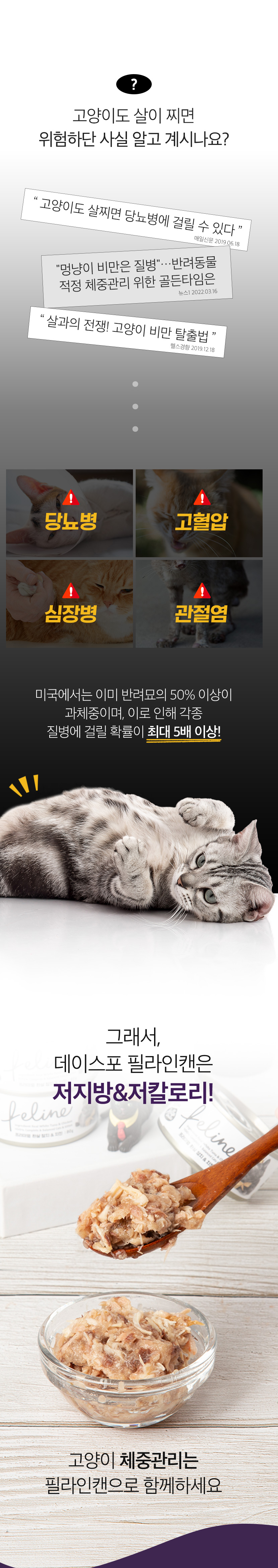 [심쿵펫페어][무료배송] [24개] 데이스포 캣 필라인 캔 흰살참치와 치킨 80g 3번째