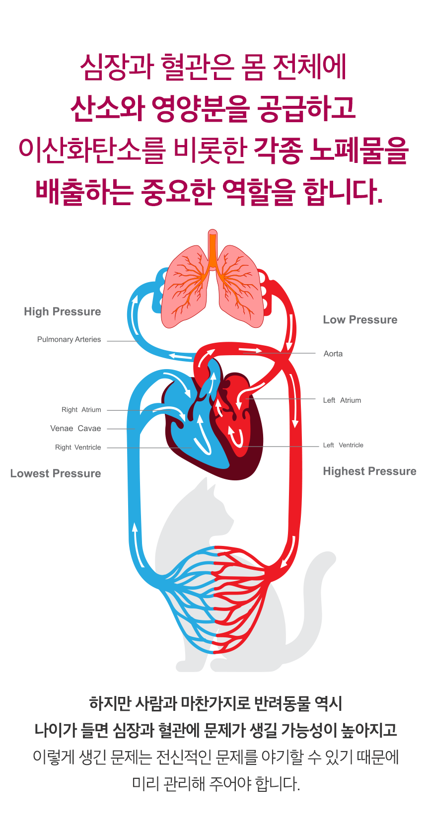 [NEW신상][무료배송] 뉴트리션트리 하이드롭 CARDIO 심혈관건강 18ml 7번째