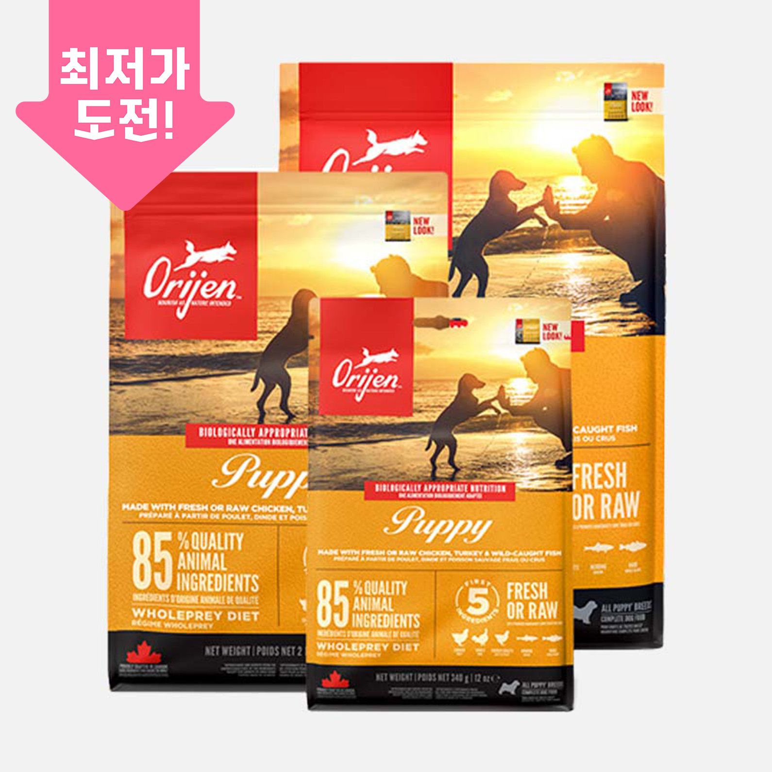 오리젠 독 퍼피 모음 0번