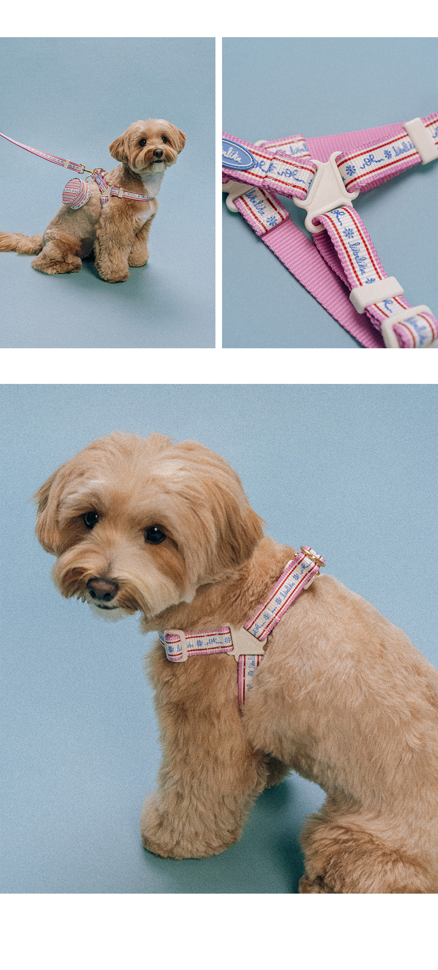 [무료배송] 리카리카 플레어 하네스 L자형 핑크/민트 M-L 6번째