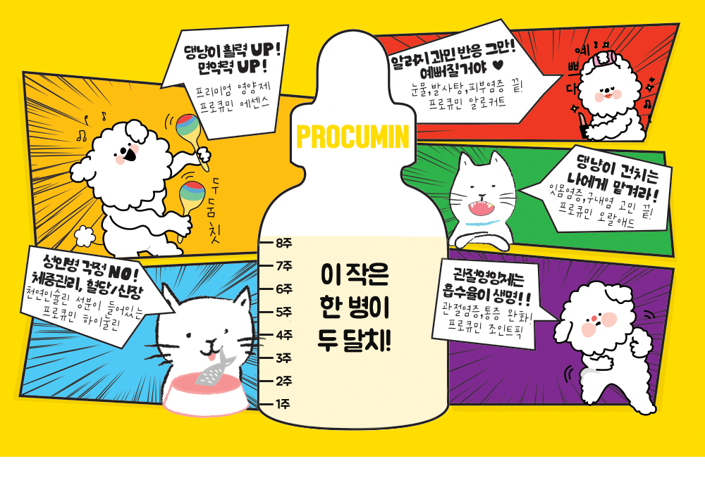 [무료배송] 프로큐민 오랄애드 구강 액상 영양제 30ml 1번째