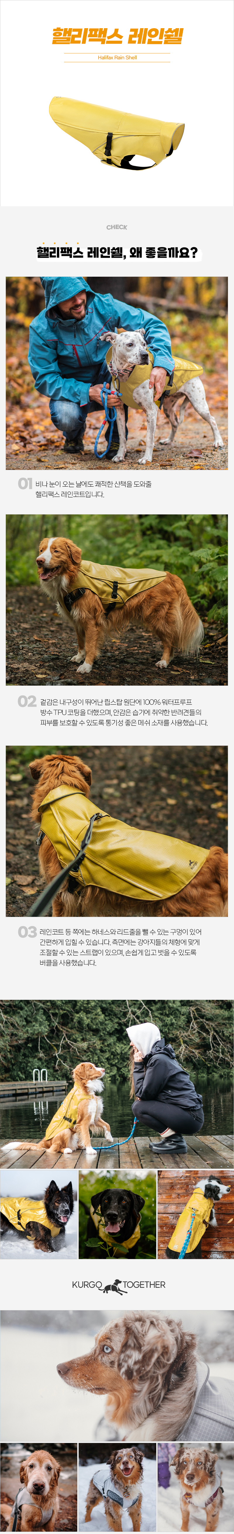 [무료배송] 커고 독 핼리팩스 레인쉘 옐로/화이트 XS-L 2번째