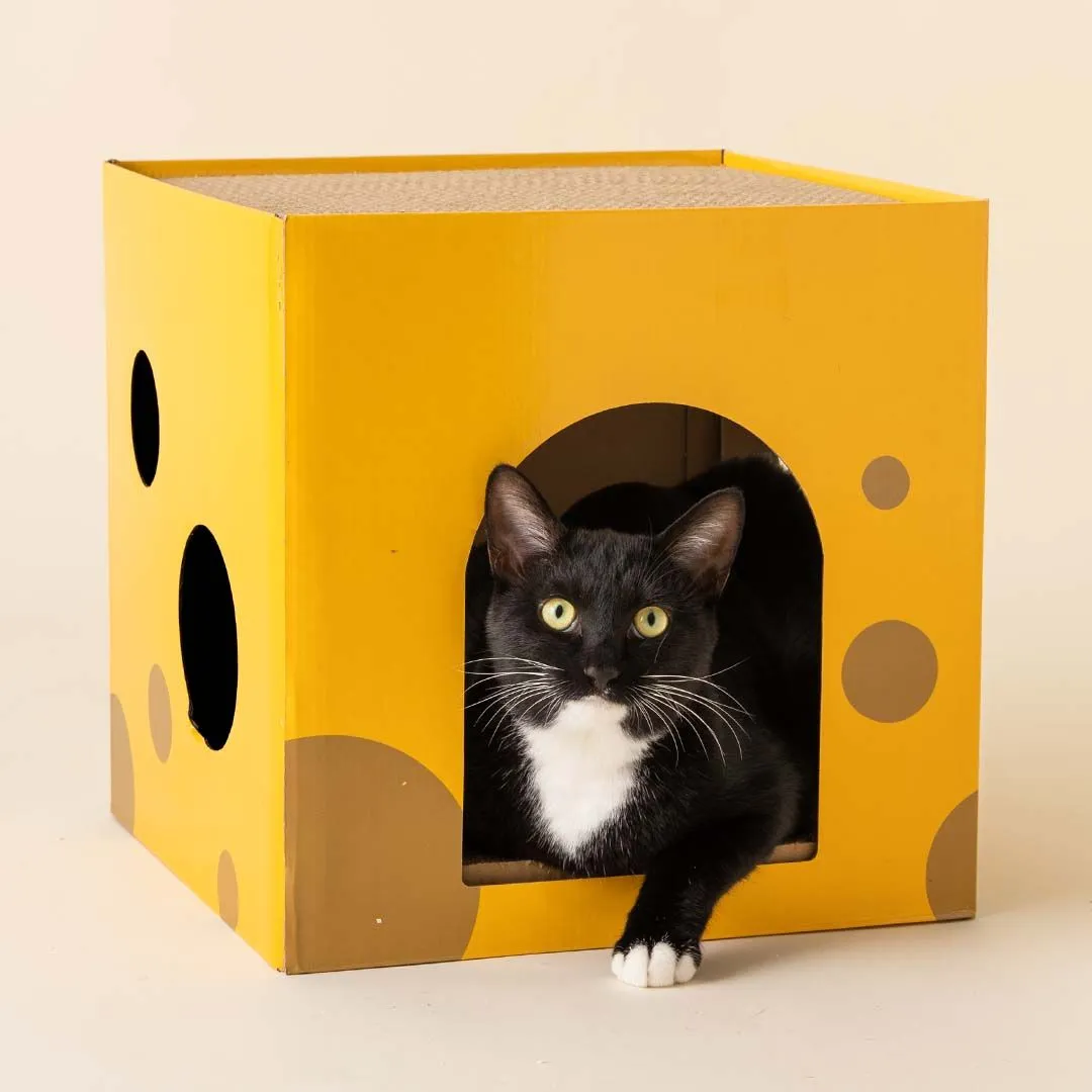 고양이섬 치즈 숨숨집 스크래쳐 