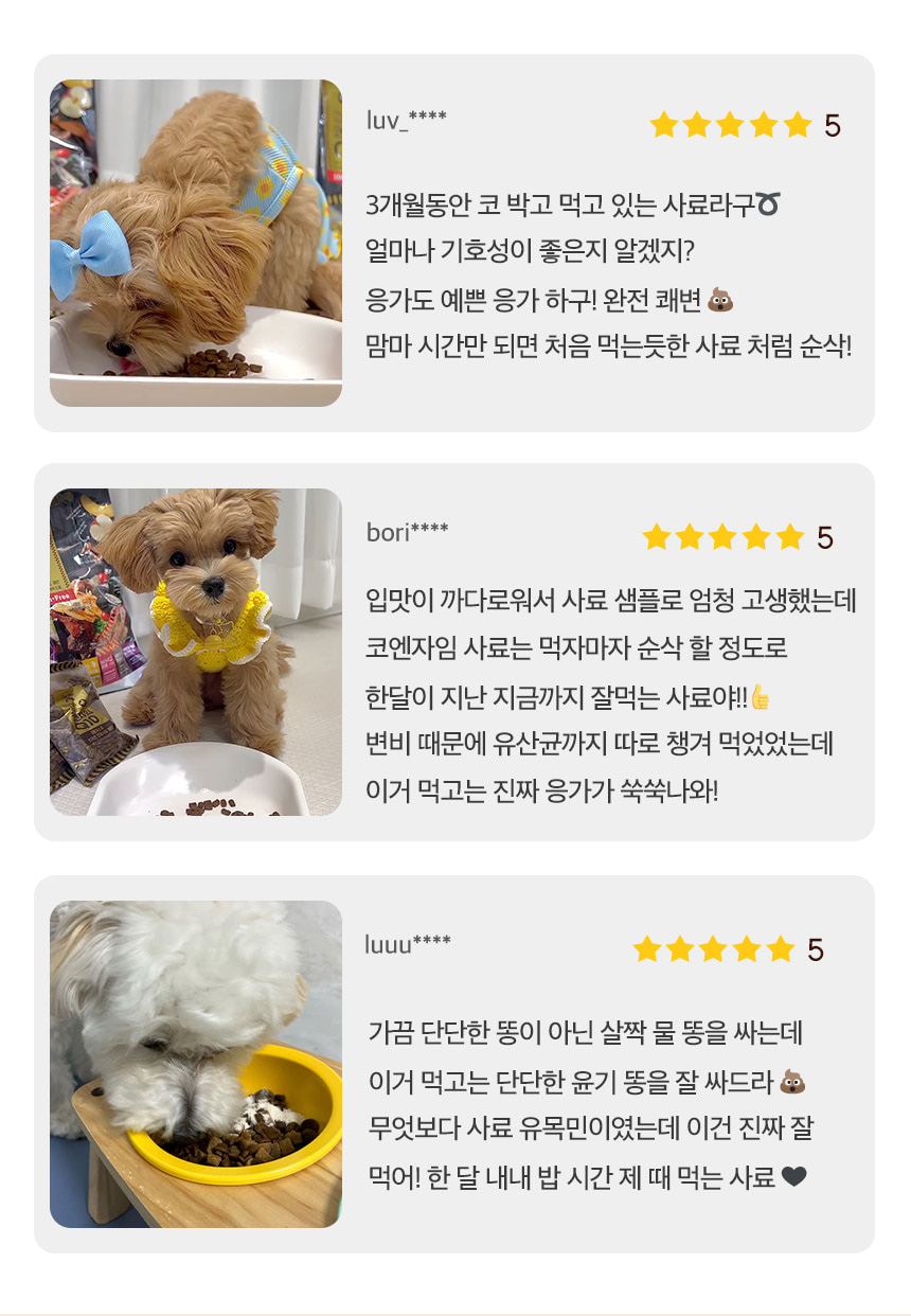 [심쿵펫페어][무료배송] 데이스포 독 테라픽 코엔자임Q10 올스테이지 사료 3kg 2번째