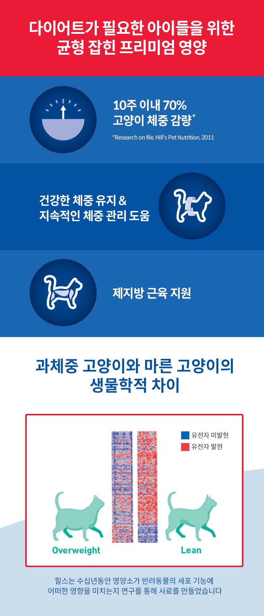 [NEW신상]힐스 캣 어덜트 퍼펙트 웨이트 베지터블&살몬 멜들리 354g  2번째