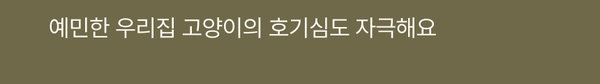 [NEW신상][무료배송] 펫트루 사막화방지 SAND-DEATH 화장실 28번째