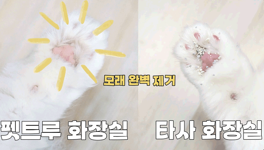 [NEW신상][무료배송] 펫트루 사막화방지 SAND-DEATH 화장실 8번째