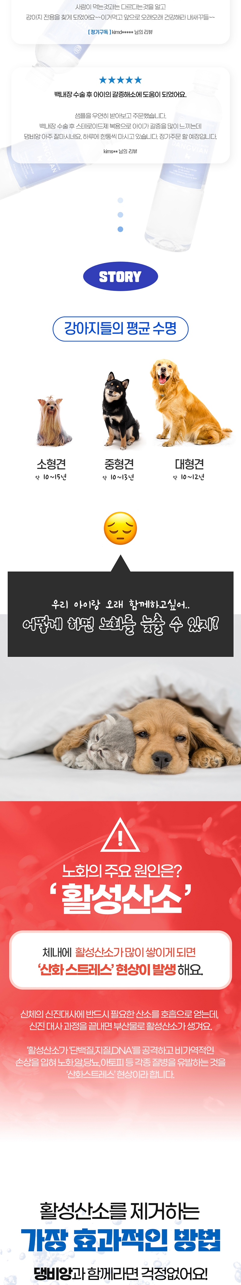 [무료배송] [유통기한임박, 25년7월26일] 펫투데이 독 프리미엄 생수 댕비앙 20EA 2번째