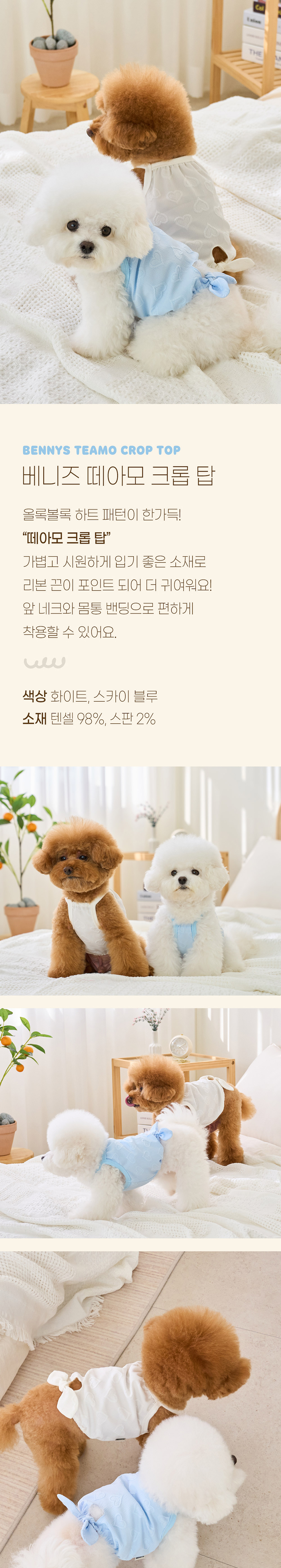 [무료배송] 베니즈 떼아모 크롭 탑 스카이블루/화이트 S-XL 1번째