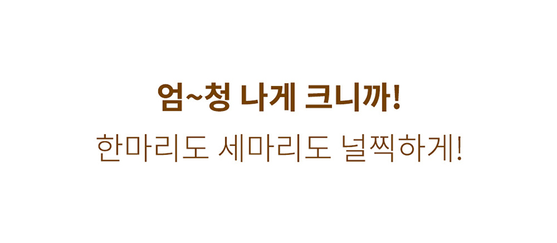 [NEW신상][무료배송] 우루룽 스튜디오 대왕 호떡쿠션 2번째