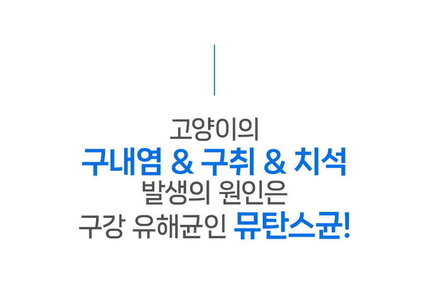 [NEW신상][무료배송] 닥터뉴토 캣 프레시케어 동결건조트릿 무항생제 닭가슴살 40g 7번째