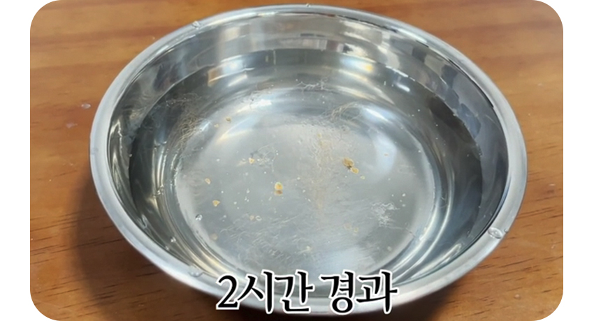 [무료배송] 페키움 쉿! 자동 정수기 10번째