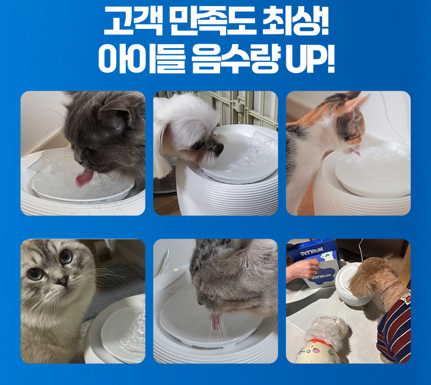 [무료배송] 페키움 쉿! 자동 정수기 4번째