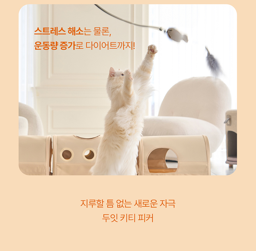 [신상특가] [무료배송] 두잇 키티피커 고양이 낚시대 장난감 7번째