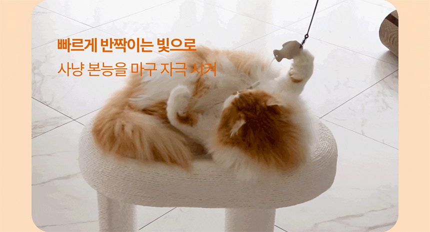 [신상특가] [무료배송] 두잇 키티피커 고양이 낚시대 장난감 6번째