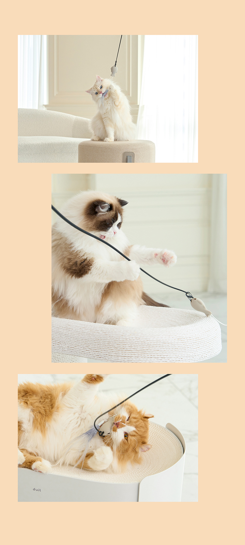 [신상특가] [무료배송] 두잇 키티피커 고양이 낚시대 장난감 20번째