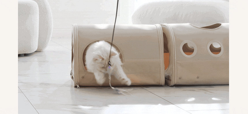 [신상특가] [무료배송] 두잇 키티피커 고양이 낚시대 장난감 11번째