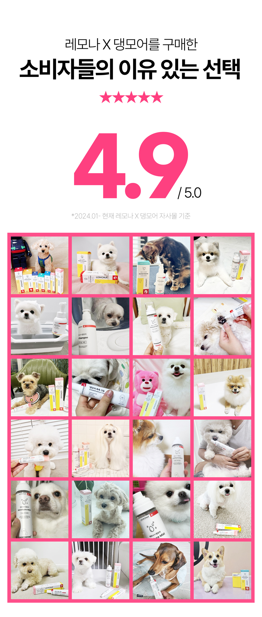 [무료배송] 레모나 X 댕모어 아이클리너 플러스120ml 1번째