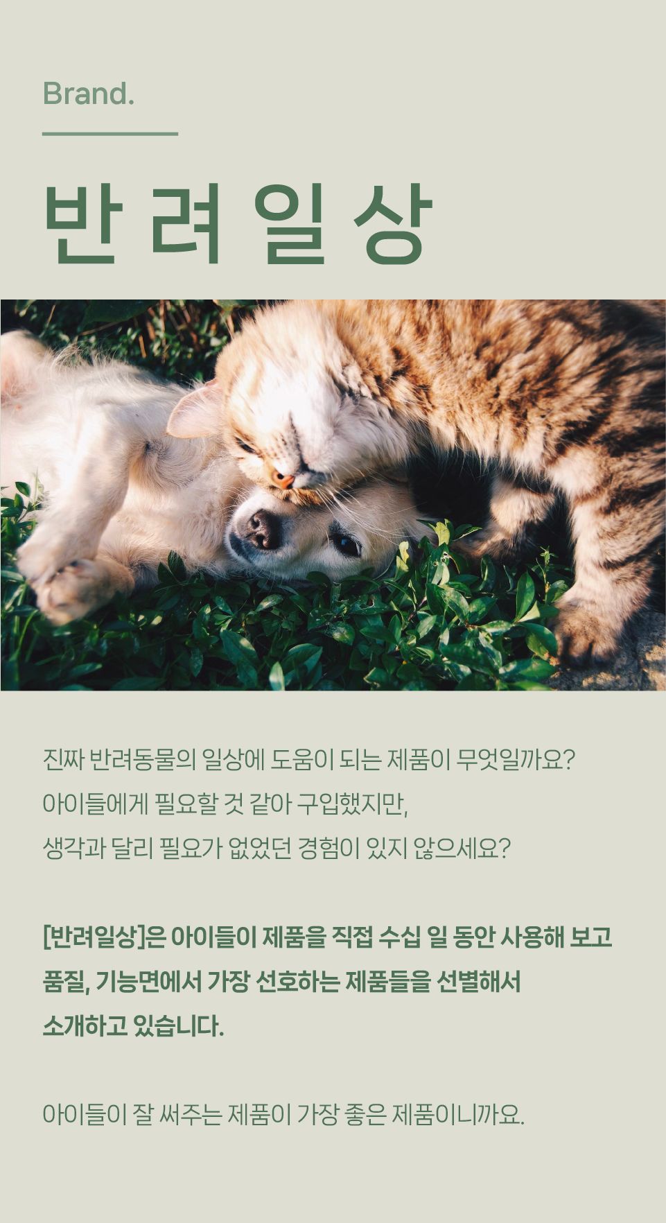 반려일상 짜먹는 츄스틱 5번째
