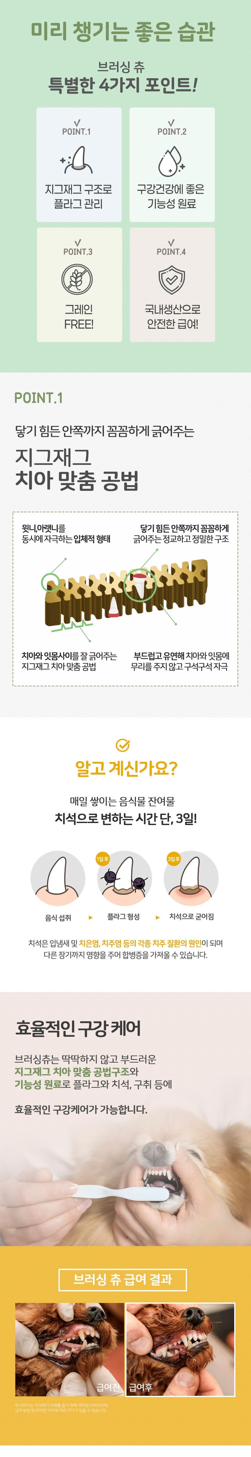 누터스가든 브러싱츄 덴탈껌 100개입 2번째