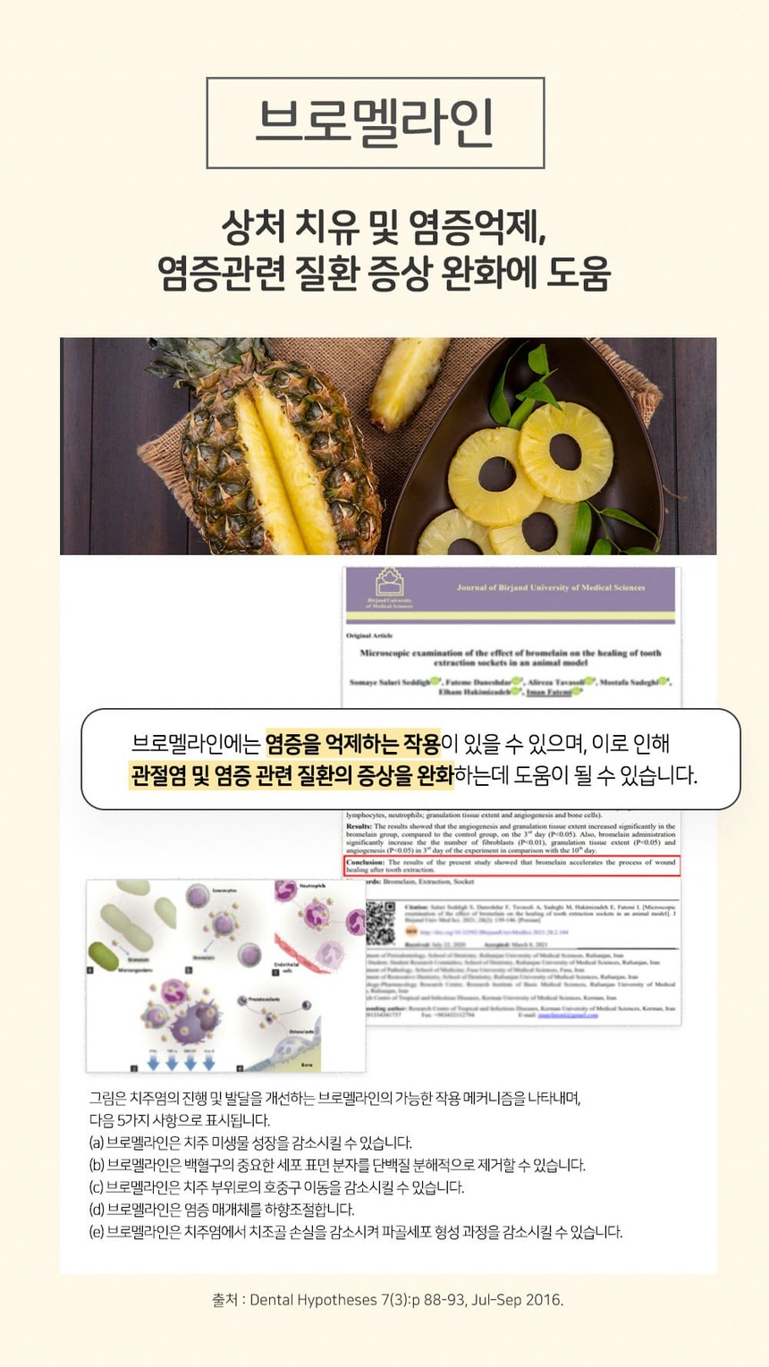 누터스가든 브러싱츄 덴탈껌 100개입 4번째