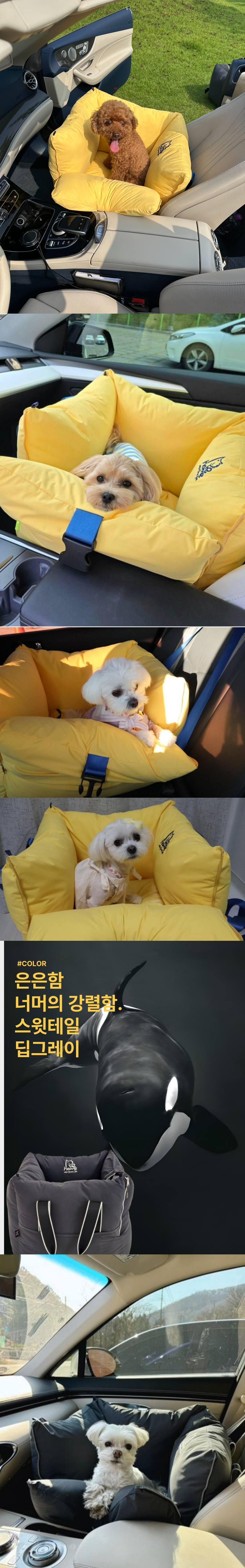 [NEW신상][무료배송] 스윗테일 핸드메이드 올라운드 펫카시트 버터옐로우 M/L 9번째