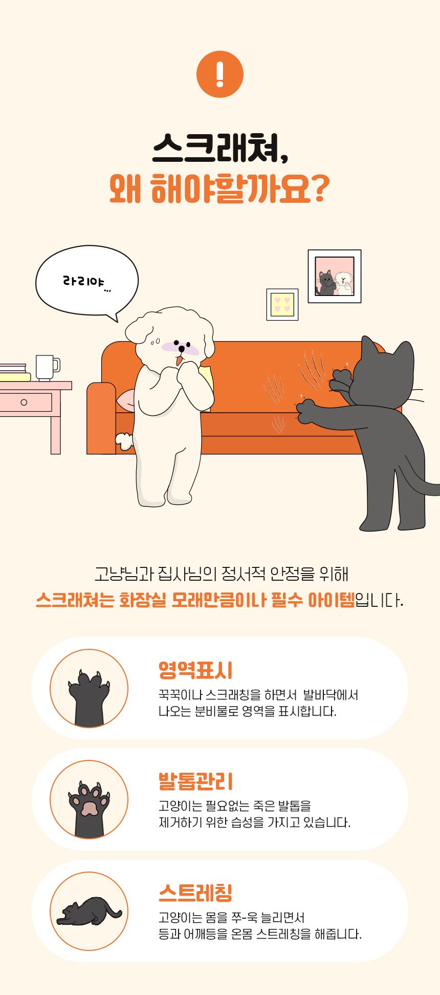 [NEW신상]리스펫 붙이는 스크래쳐 벽타냥 소형 1번째