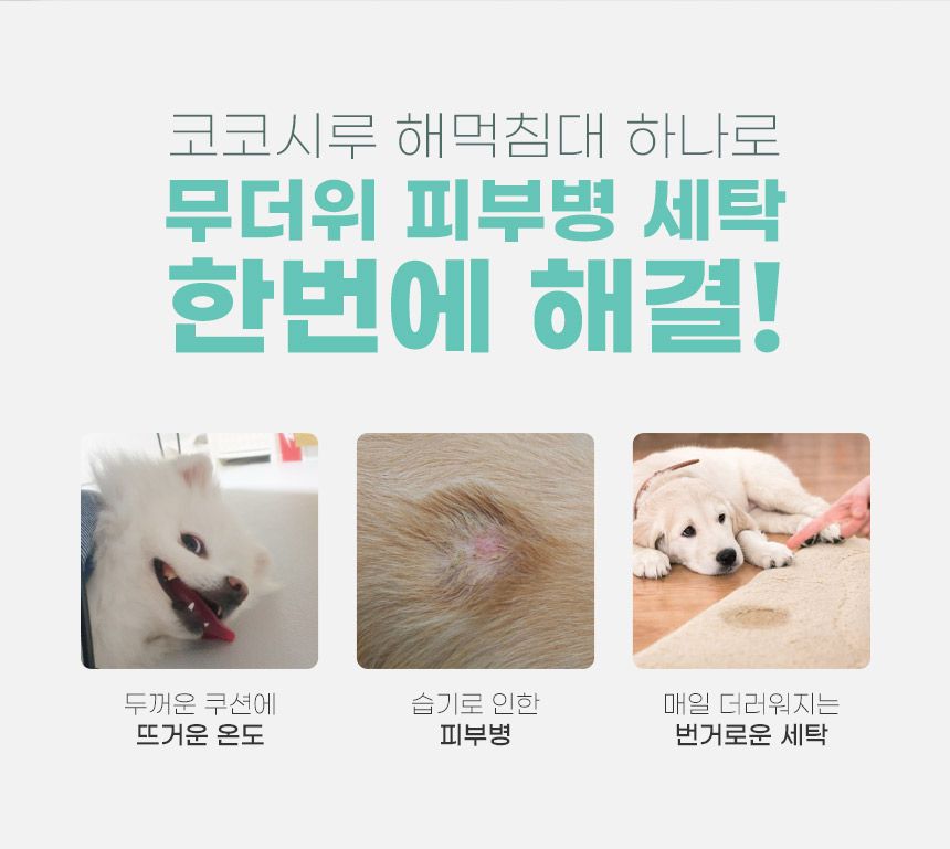 [무료배송] 코코시루 쇼파 해먹 4번째