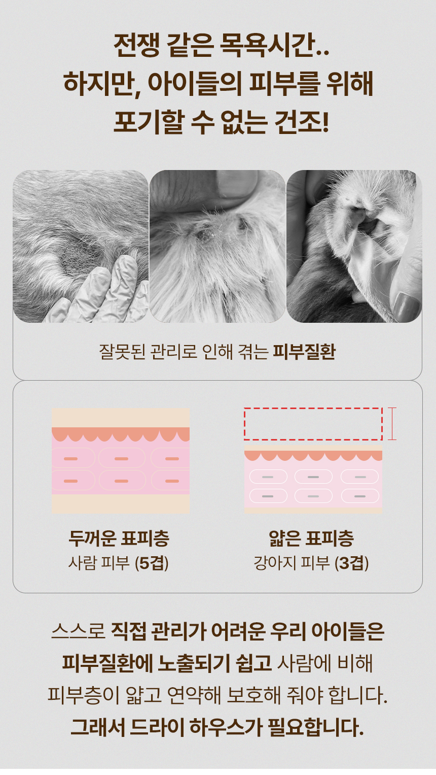 [무료배송] 초코펫하우스 드라이 하우스 아이보리/베이지 7번째