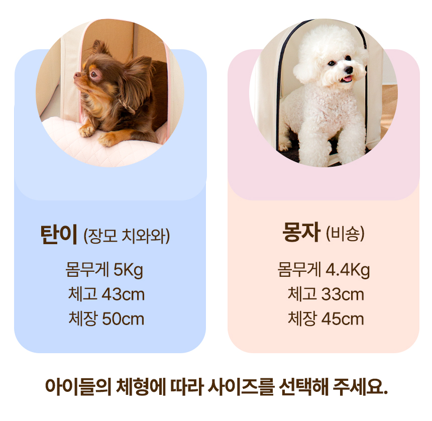 [무료배송] 초코펫하우스 드라이 하우스 아이보리/베이지 16번째