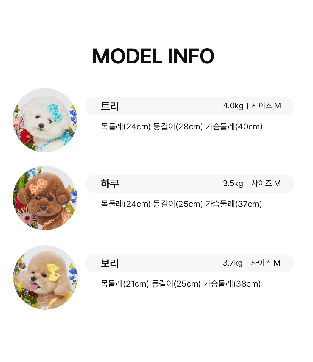 [무료배송] 솔티핫티 뉴체크 핀 5번째