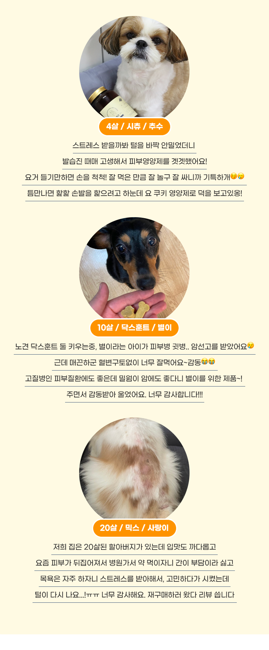 [무료배송] 애니먼 독 매끈하군 피부&피모 영양제 250g 2번째