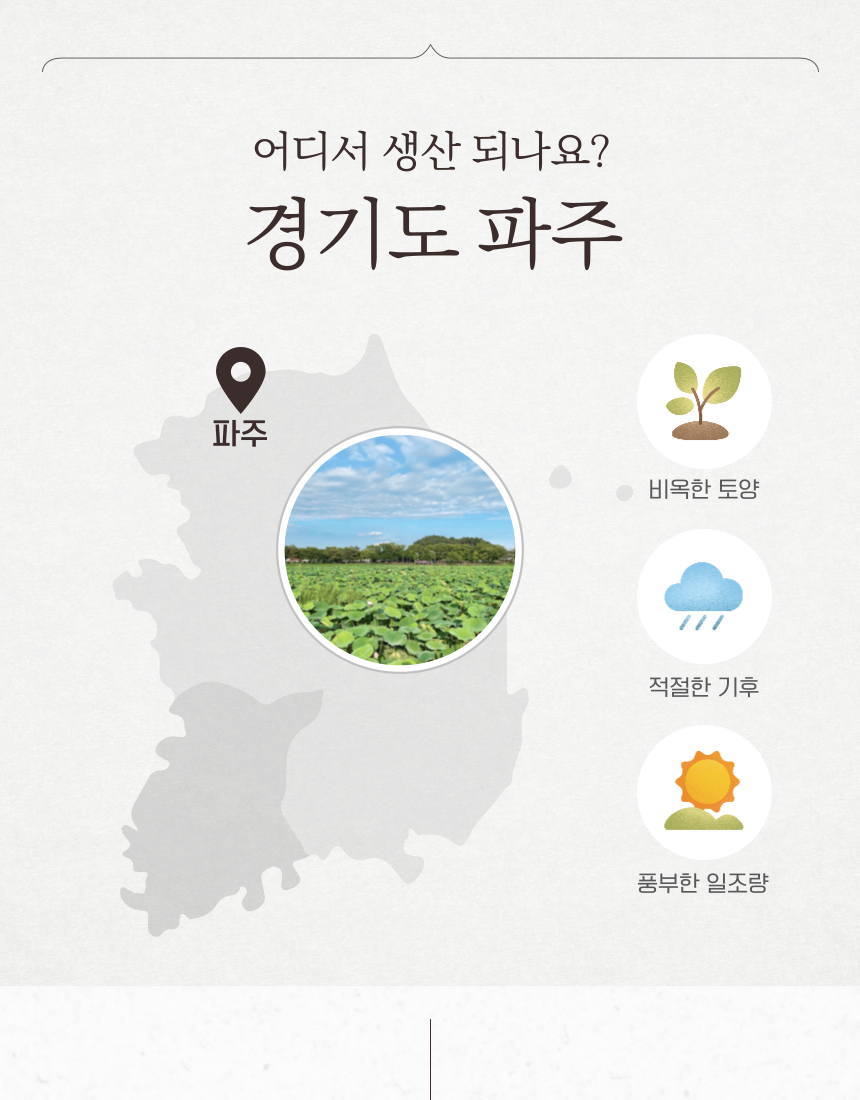 [NEW신상][무료배송] 조선강아지 유기농 채식주의 붉은채소 100g 2번째